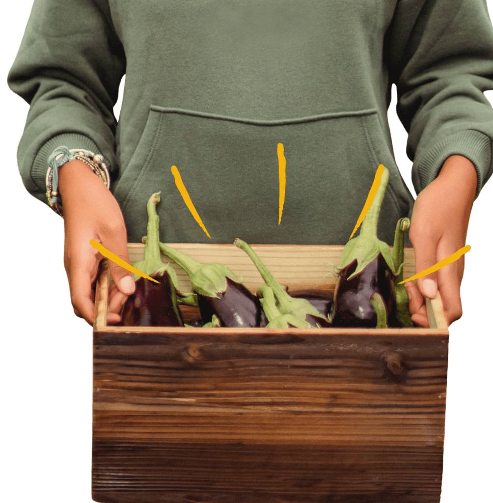 Person in green hooded sweatshirt holding wooden box full of eggplants